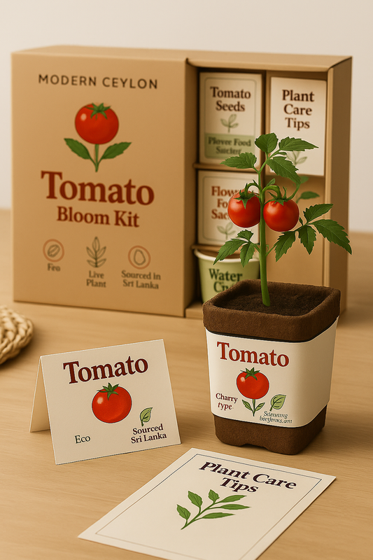Tomato Cherry-type Bloom Kit – Modern Ceylon