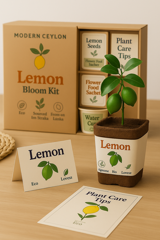 Lemon Bloom Kit – Grow Your Own Lemon Plant at Home | Modern Ceylon