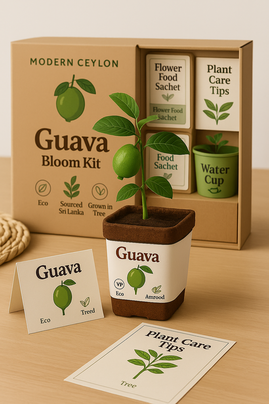 Guava Harvest Kit – Live Fruit Plant Gift Box | Modern Ceylon