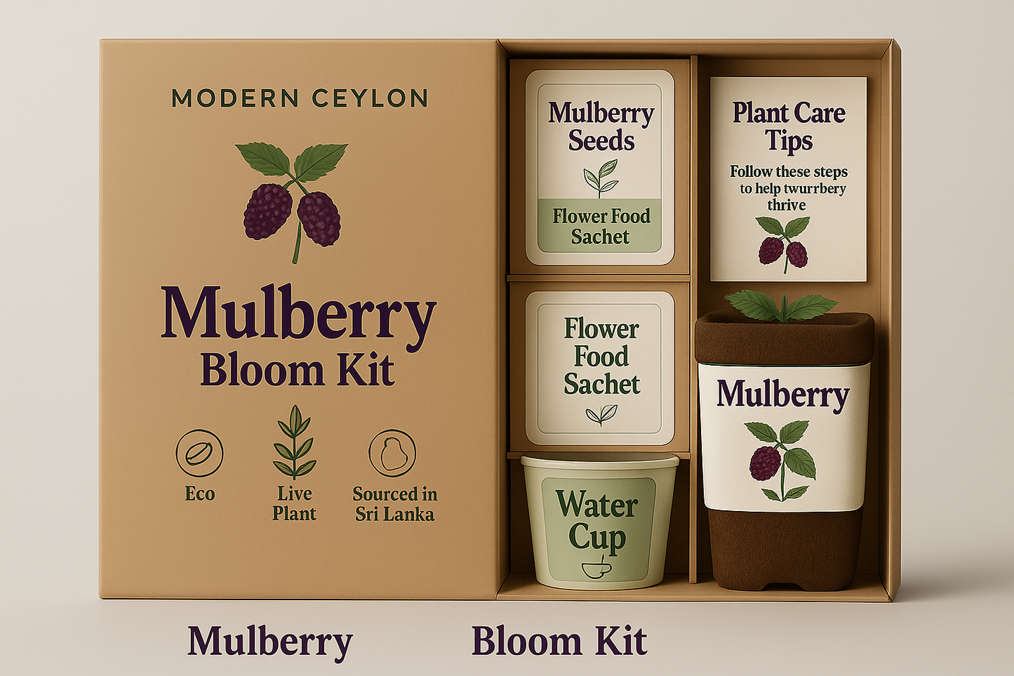 Mulberry Bloom Kit – Premium Live Plant by Modern Ceylon