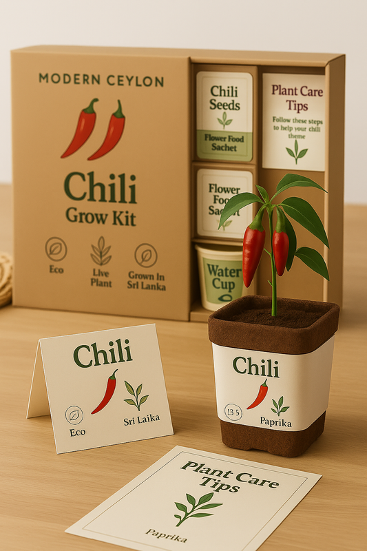 Chili Grow Kit – Modern Ceylon | Live Plant + Seeds + Food + Care Kit