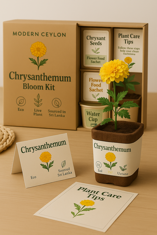 Chrysanthemum Bloom Kit