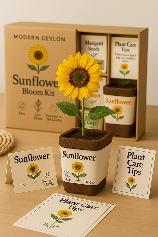 Sunflower Bloom Kit